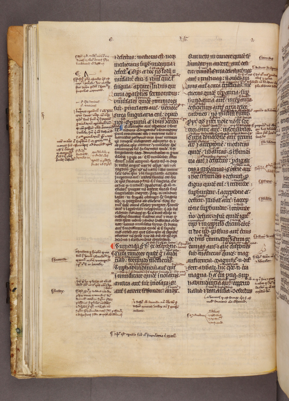 Folio 49 verso